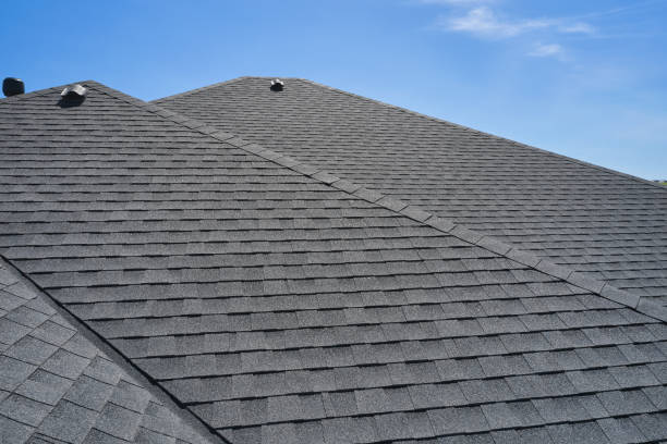 Best Roof Moss and Algae Removal  in Roaring Spring, PA